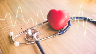 Сърдечно съдовите заболявания са водеща причина за смъртност у нас Сърцето