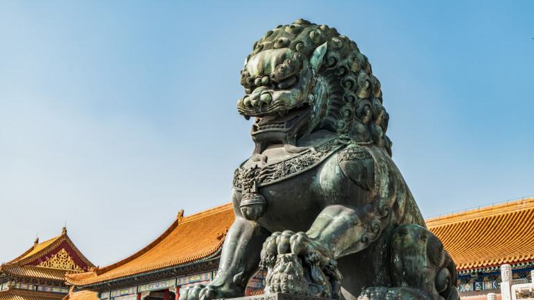 Изображение 533773