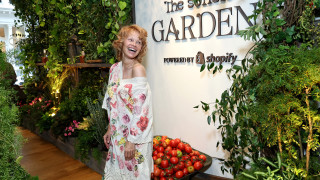 Памела Андерсън определено е една от звездите които претърпяха най голяма