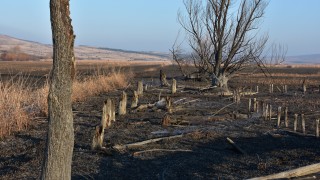 Неправителствени организации и Община Драгоман са обсъдили спешни мерки за