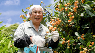 Третата по големина икономика в света прие закон който ѝ