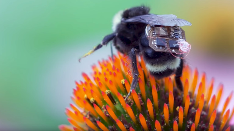 Пчели с раници ще помагат в земеделието
