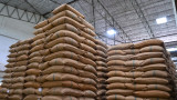  Цената на зърното продължава да пада на международните тържища 