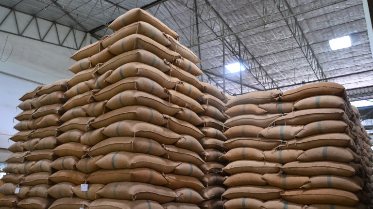 Запорожка област е постигнала споразумения за износ на зърно в