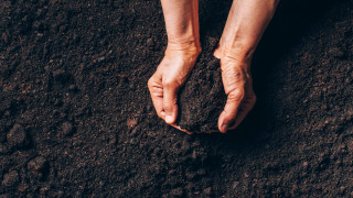 Публикациите в социалните мрежи започват през май Снимки и видеоклипове