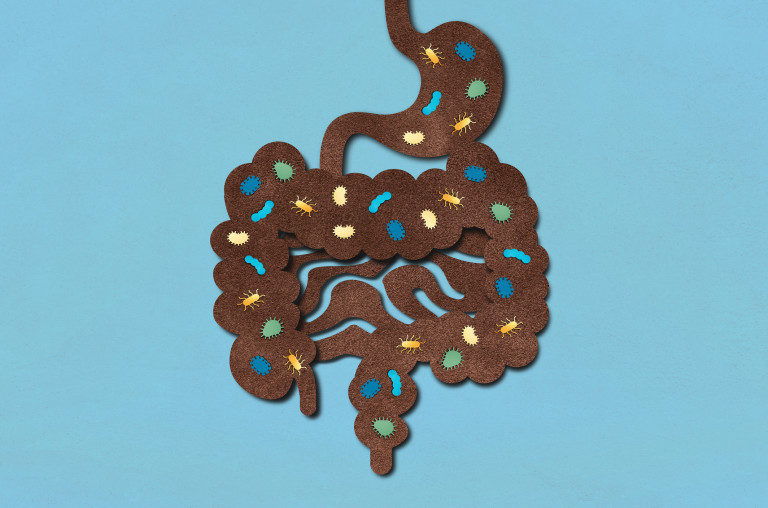 Чревният микробиом е значим за цялостното ни здраве