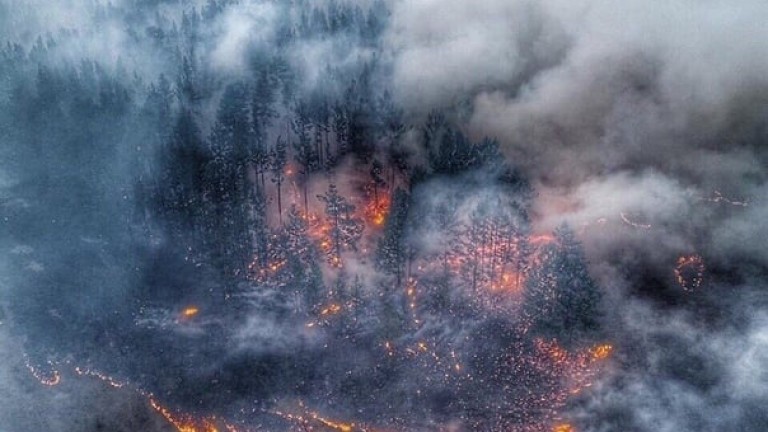 Пожарите в Сибир вече са върху 4.3 млн. хектара, 600 населени места се задъхват