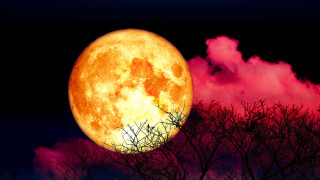 Тази година така наречената ягодова луна огря в небето впечатляващо