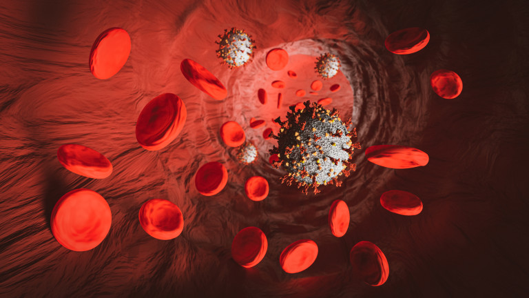 Учени: Незрели кръвни клетки показват риска от тежко протичане на COVID-19   