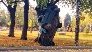 Полицията откри шофьора който приземи автомобил край дърво в парк