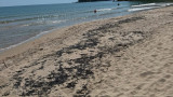 Плажуващи по Южното Черноморие излизат от морето, омазани с мазут