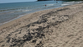Въпреки поредните сигнали за мазут по Южното Черноморие властите уверяват