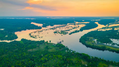 Забележително откритие в Амазония