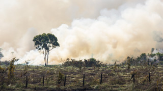 Сериозен пожар лумна до старозагорското село Малка Верея Гори широколистна