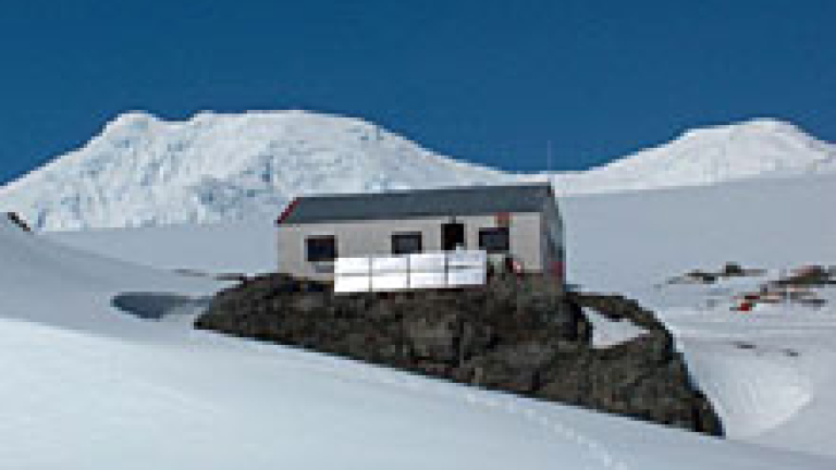 Изображение 20274