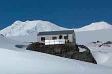 Нашите антарктици - без храна и гориво