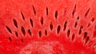 За много от нас динята е любимият летен плод Толкова