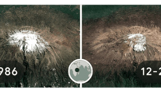 Google отбеляза Деня на Земята Климатичните промени са отново във фокуса