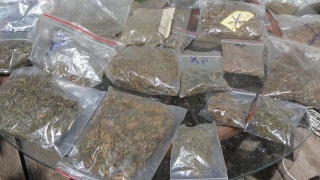 Разбиха домашна оранжерия за коноп в София