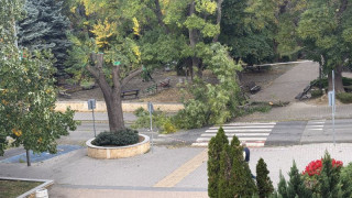 Паднал клон удари мъж в Сливен, лекарите се борят за живота му