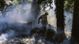 Пожари опустошават седем дни Алгарве в Португалия