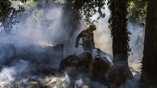Повече от 1000 пожарникари се борят седми дни с огнен