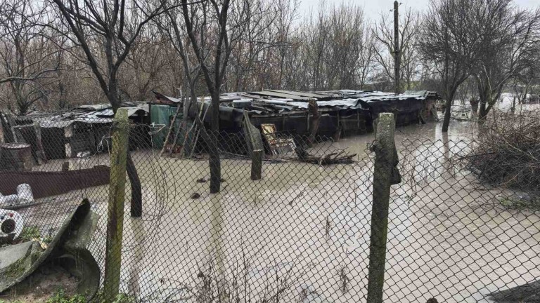 Изображение 752574