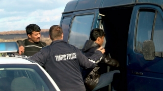 Заловиха голяма група нелегални мигранти на АМ Тракия край Пловдив