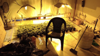 Разкриха оранжерия за марихуана в затворен жилищен комплекс в София