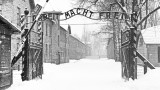  Броят на избитите от нацистите евреи намалял, когато не останал никой за ликвидиране 