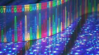 Хиляди вече взети ДНК проби не са в базите данни