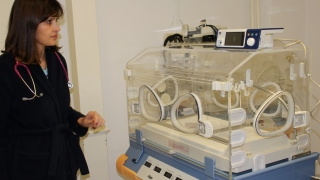 Стая за майки и недоносени бебета правят във Великотърновска болница