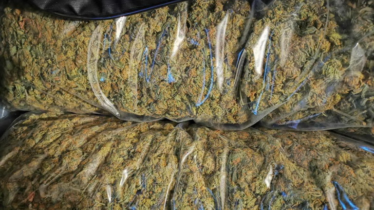 Изображение 453974