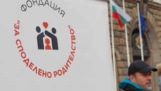 Привърженици на споделеното родителство се събраха на мирен митинг в