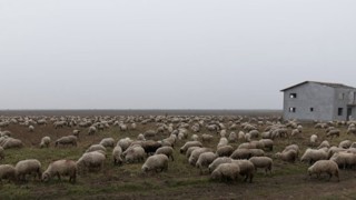 Румъния съди местен пастир който пречи на работата на американските