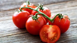 Люти домати – бъдещето на популярния зеленчук