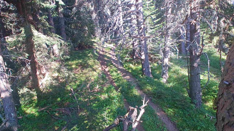 Изображение 634674