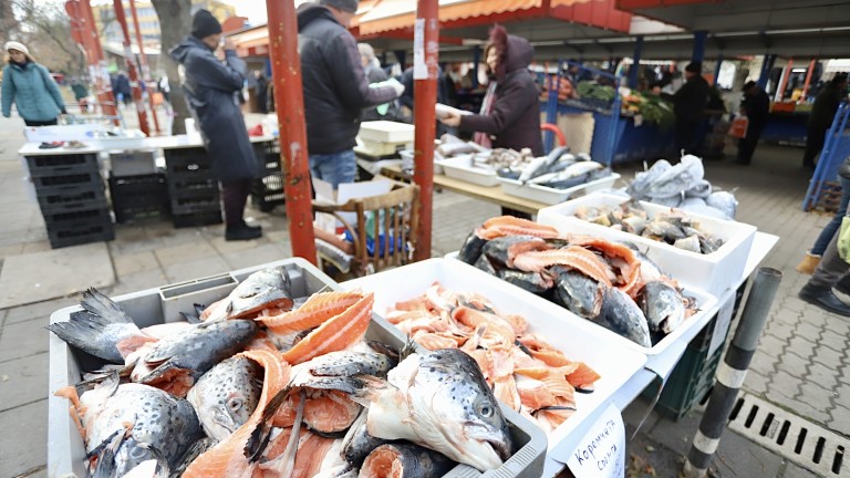 Изображение 645074