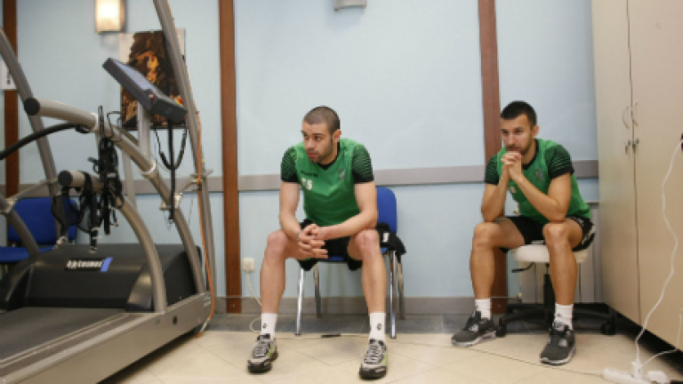 Изображение 215174