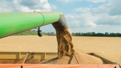Испания и Франция критикуват забраните за внос на украинско зърно