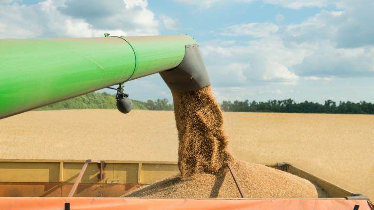 Снимка: Достигна ли пшеницата ценовото си дъно?