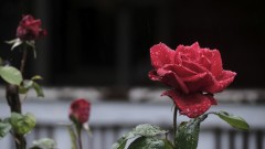 Слънце и дъжд се редуват