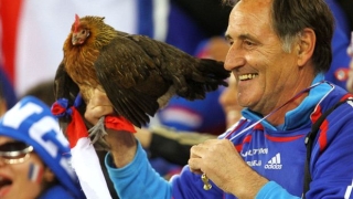 Балтазар ще гледа Евро 2016 от кокошарника