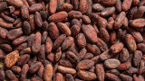  Цените на какаото са двойни. Фючърсните контракти са на най-високите си равнища от 65 години насам 