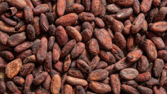 Цените на какаото са двойни. Фючърсните договори са на най-високите си нива от 65 години насам