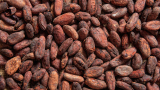 Последният път когато цените на какаото се повишиха рекордно беше