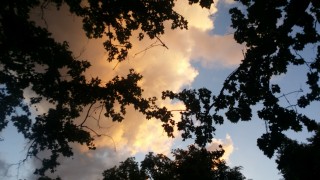 Очаква ни слънчева неделя