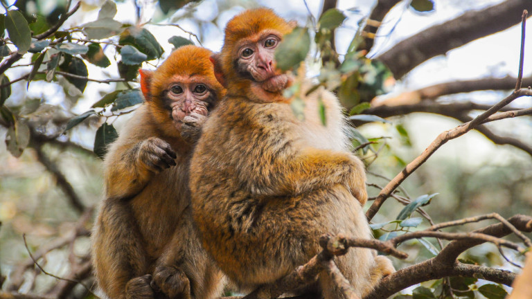 Изображение 689174