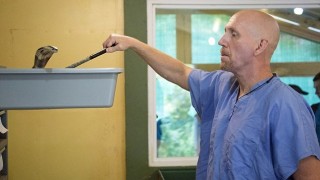 Човекът, който работи сред най-отровните змии, за да спасява животи
