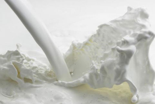 ДФ „Земеделие" одобри 157 кандидати за продажба на млечна квота